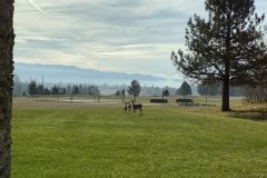 IMG_0209