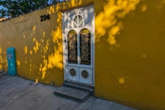 IMG_7909